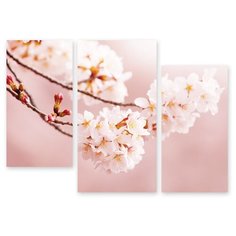 Модульная картина на холсте "Вишневый цвет" 120x87 см Modulka.Ru