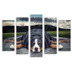 Модульная картина на холсте "Уставший пес" 150x105 см Modulka.Ru