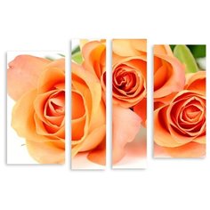Модульная картина на холсте "Розы" 150x108 см Modulka.Ru