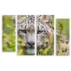 Модульная картина на холсте "Снежный барс" 90x60 см Modulka.Ru
