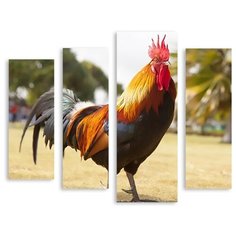 Модульная картина на холсте "Петух" 150x130 см Modulka.Ru