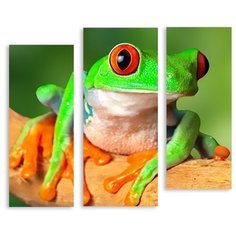 Модульная картина на холсте "Лягушка" 90x78 см Modulka.Ru
