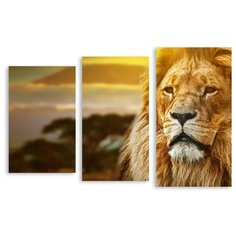 Модульная картина на холсте "Задумчивый лев" 150x99 см Modulka.Ru
