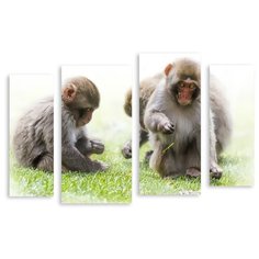 Модульная картина на холсте "Мартышки" 170x116 см Modulka.Ru