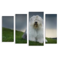 Модульная картина на холсте "Белый пес" 150x102 см Modulka.Ru