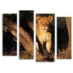 Модульная картина на холсте "Львица" 170x141 см Modulka.Ru