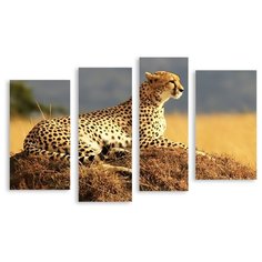 Модульная картина на холсте "Гепард" 150x96 см Modulka.Ru