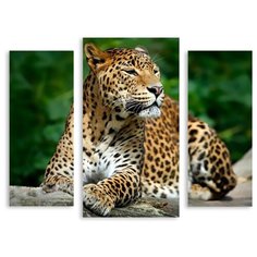 Модульная картина на холсте "Леопард" 150x120 см Modulka.Ru