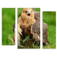 Модульная картина на холсте "Сокол" 90x75 см Modulka.Ru