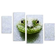 Модульная картина на холсте "Лягушка" 90x59 см Modulka.Ru