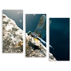 Модульная картина на холсте "Стрекоза" 150x124 см Modulka.Ru