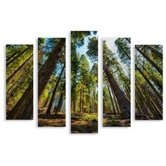 Модульная картина на холсте "Деревья в небо" 150x111 см Modulka.Ru