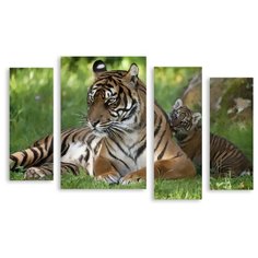 Модульная картина на холсте "Тигрица с тигренком" 150x97 см Modulka.Ru