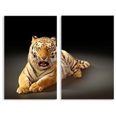 Модульная картина на холсте "Тигр" 150x119 см Modulka.Ru