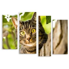 Модульная картина на холсте "Кот" 170x127 см Modulka.Ru