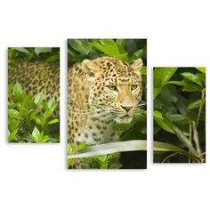 Модульная картина на холсте "Охотница" 150x107 см Modulka.Ru