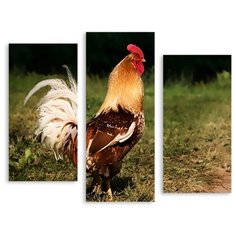 Модульная картина на холсте "Петух" 120x99 см Modulka.Ru