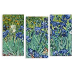 Модульная картина на холсте "Нарисованные ирисы" 120x80 см Modulka.Ru
