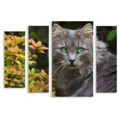 Модульная картина на холсте "Кот" 170x125 см Modulka.Ru