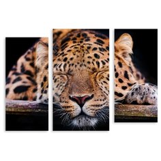 Модульная картина на холсте "Спящий леопард" 90x64 см Modulka.Ru