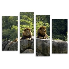 Модульная картина на холсте "Львы" 120x91 см Modulka.Ru