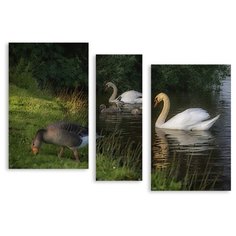 Модульная картина на холсте "Гуси-лебеди" 170x122 см Modulka.Ru