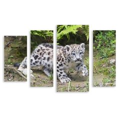 Модульная картина на холсте "Маленький барс" 170x113 см Modulka.Ru