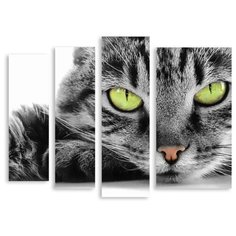 Модульная картина на холсте "Зеленоглазый кот" 90x265 см Modulka.Ru