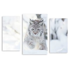 Модульная картина на холсте "Снежная рысь" 170x112 см Modulka.Ru