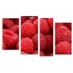 Модульная картина на холсте "Малина" 120x76 см Modulka.Ru