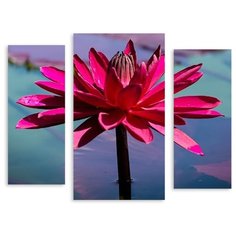 Модульная картина на холсте "Яркий лотос" 150x121 см Modulka.Ru