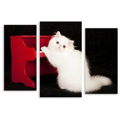 Модульная картина на холсте "Белый котик" 120x85 см Modulka.Ru