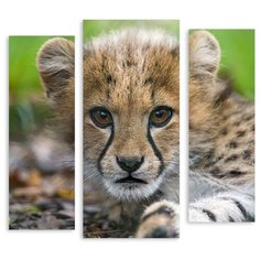 Модульная картина на холсте "Маленький гепард" 170x163 см Modulka.Ru