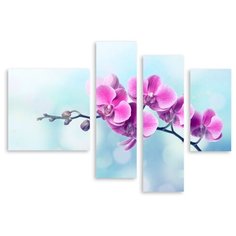 Модульная картина на холсте "Веточка орхидеи" 150x109 см Modulka.Ru