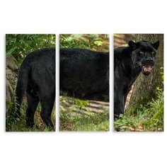 Модульная картина на холсте "Пантера" 120x78 см Modulka.Ru