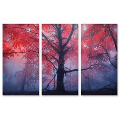Модульная картина на холсте "В тумане" 120x78 см Modulka.Ru