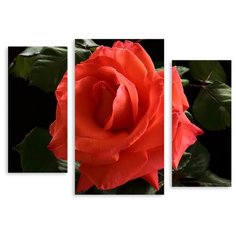 Модульная картина на холсте "Красная роза" 150x112 см Modulka.Ru
