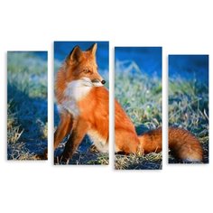 Модульная картина на холсте "Лисичка" 170x119 см Modulka.Ru