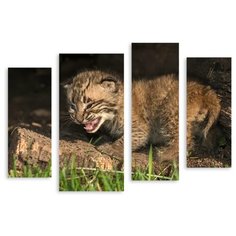 Модульная картина на холсте "Линкс-пойнт" 150x111 см Modulka.Ru