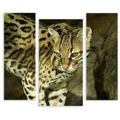 Модульная картина на холсте "Оцелот" 150x130 см Modulka.Ru