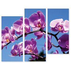 Модульная картина на холсте "Сиреневые орхидеи" 90x63 см Modulka.Ru