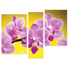 Модульная картина на холсте "Орхидеи" 150x116 см Modulka.Ru