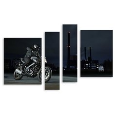 Модульная картина на холсте "Ночной волк" 170x111 см Modulka.Ru