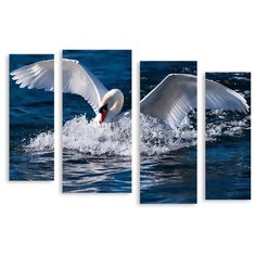 Модульная картина на холсте "Белый лебедь" 150x107 см Modulka.Ru
