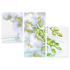 Модульная картина на холсте "Белые орхидеи" 120x84 см Modulka.Ru