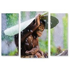 Модульная картина на холсте "Обезьянка под дождем" 170x128 см Modulka.Ru