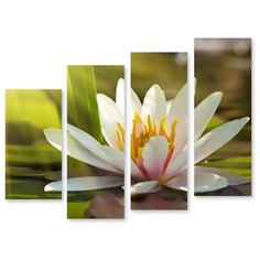 Модульная картина на холсте "Водяная лилия" 90x73 см Modulka.Ru