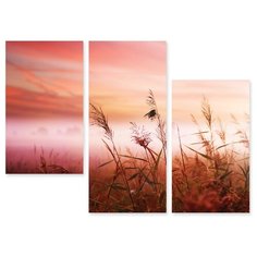 Модульная картина на холсте "Пшеница" 90x66 см Modulka.Ru