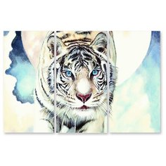 Модульная картина на холсте "Белый тигр" 120x80 см Modulka.Ru