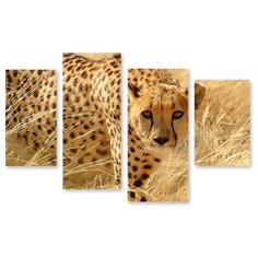 Модульная картина на холсте "Леопард" 120x80 см Modulka.Ru